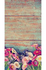 夏の花 | ガーリーなiPhone壁紙