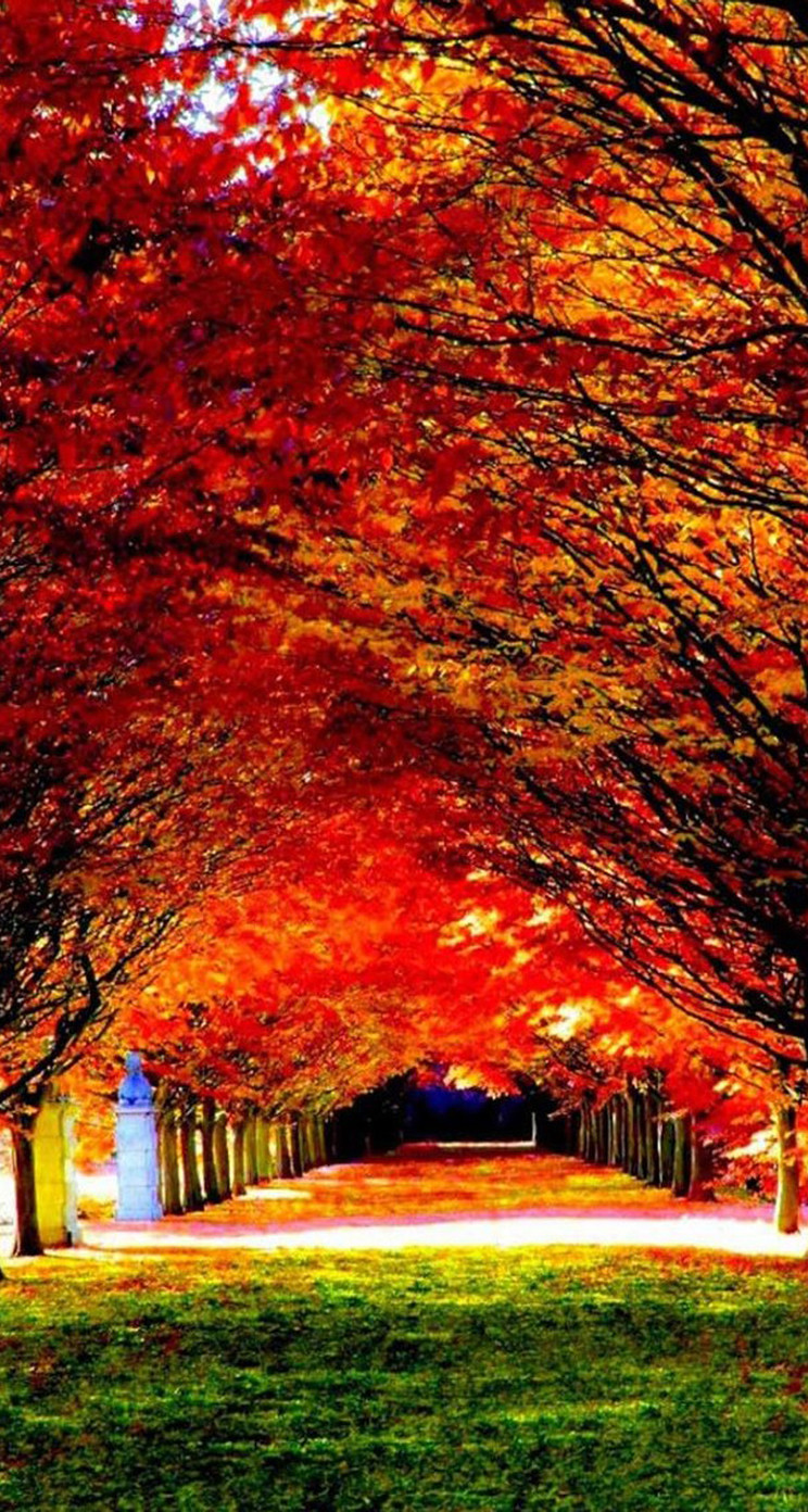 紅葉に染まった公園 Iphone5s壁紙 待受画像ギャラリー