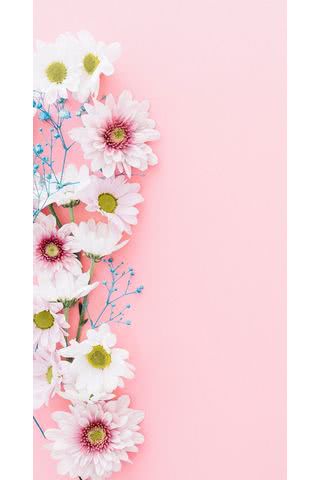 花瓶の白花 Iphone5s壁紙 待受画像ギャラリー