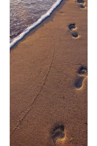 浜辺の足跡