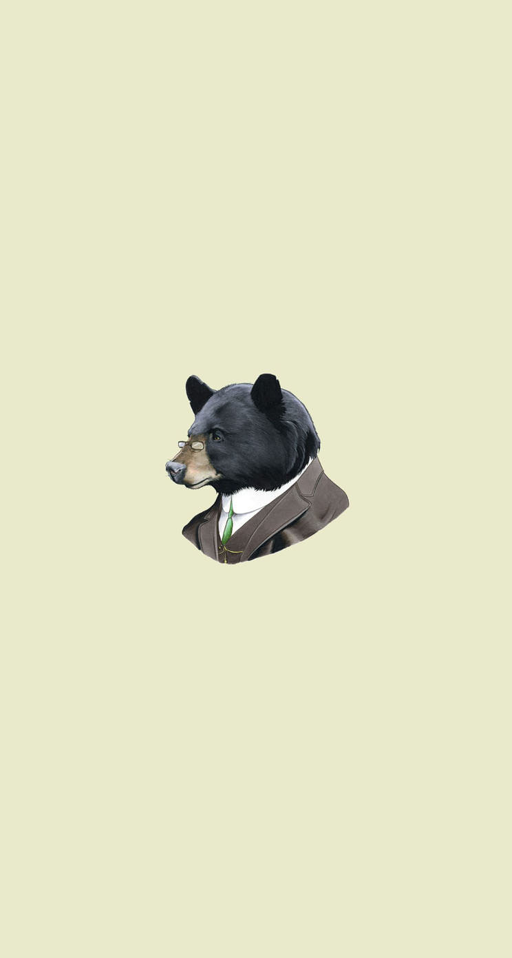 100 Wallpaper Iphone 5 Kuma Hinhanhsieudep Net