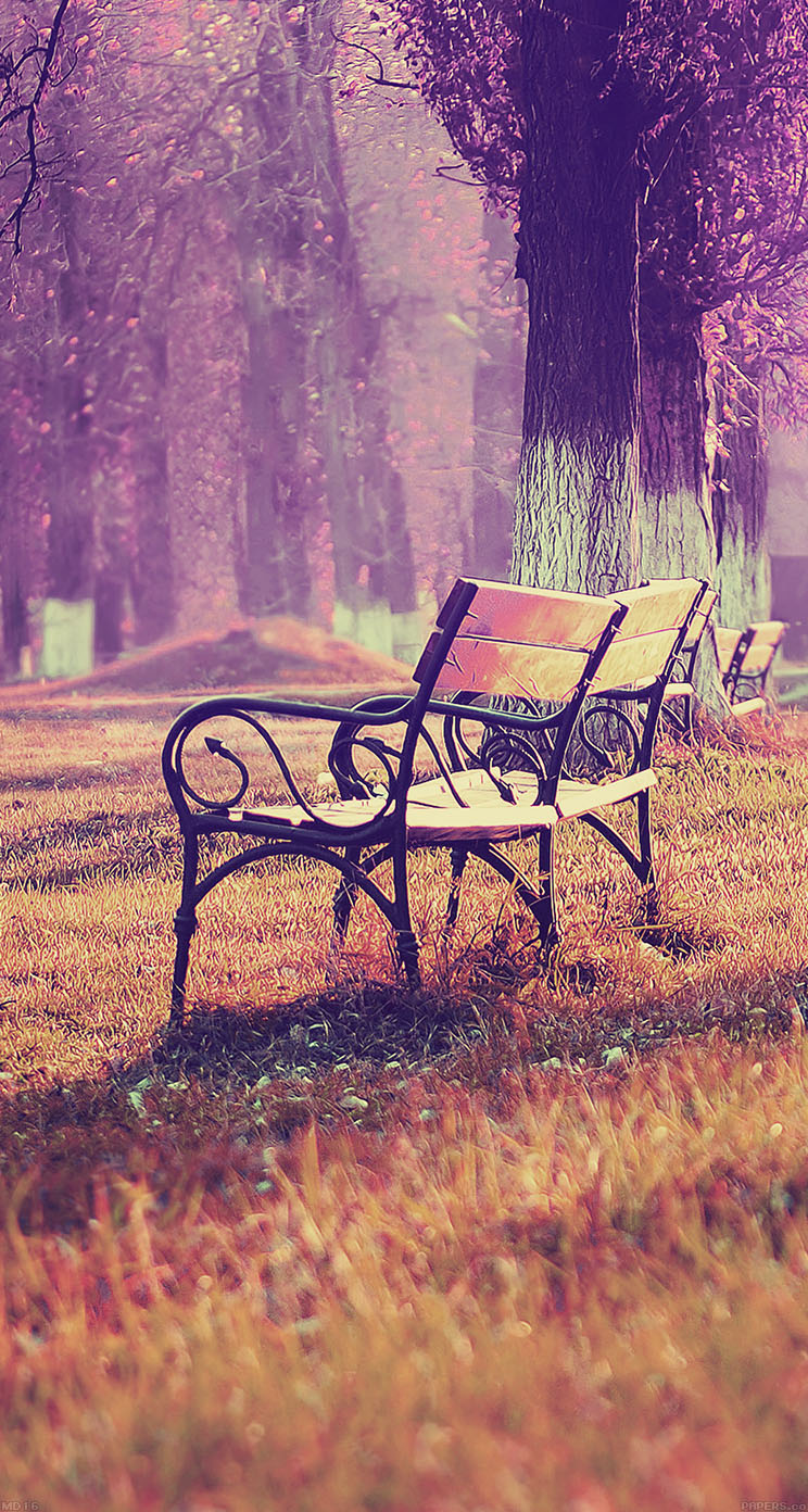公園のベンチ おしゃれな風景のiphone壁紙 Iphone5s壁紙 待受画像