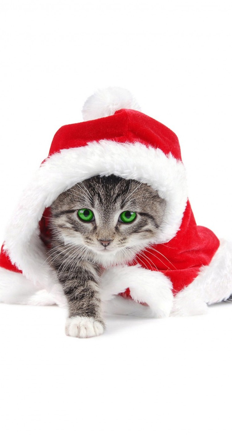 50 待ち受け クリスマス 猫 画像 すべてのイラスト画像