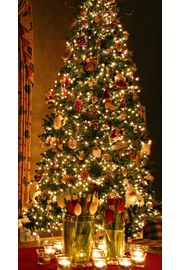 輝くクリスマスツリー