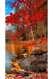 秋の風景イラスト Iphone5s壁紙 待受画像ギャラリー