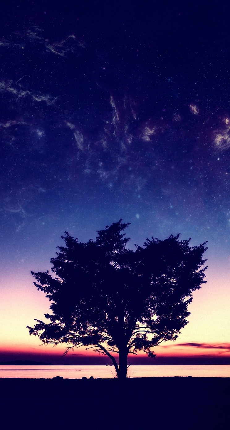 幻想的な星空の風景 Iphone5s壁紙 待受画像ギャラリー
