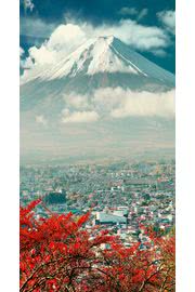 富士山の麓