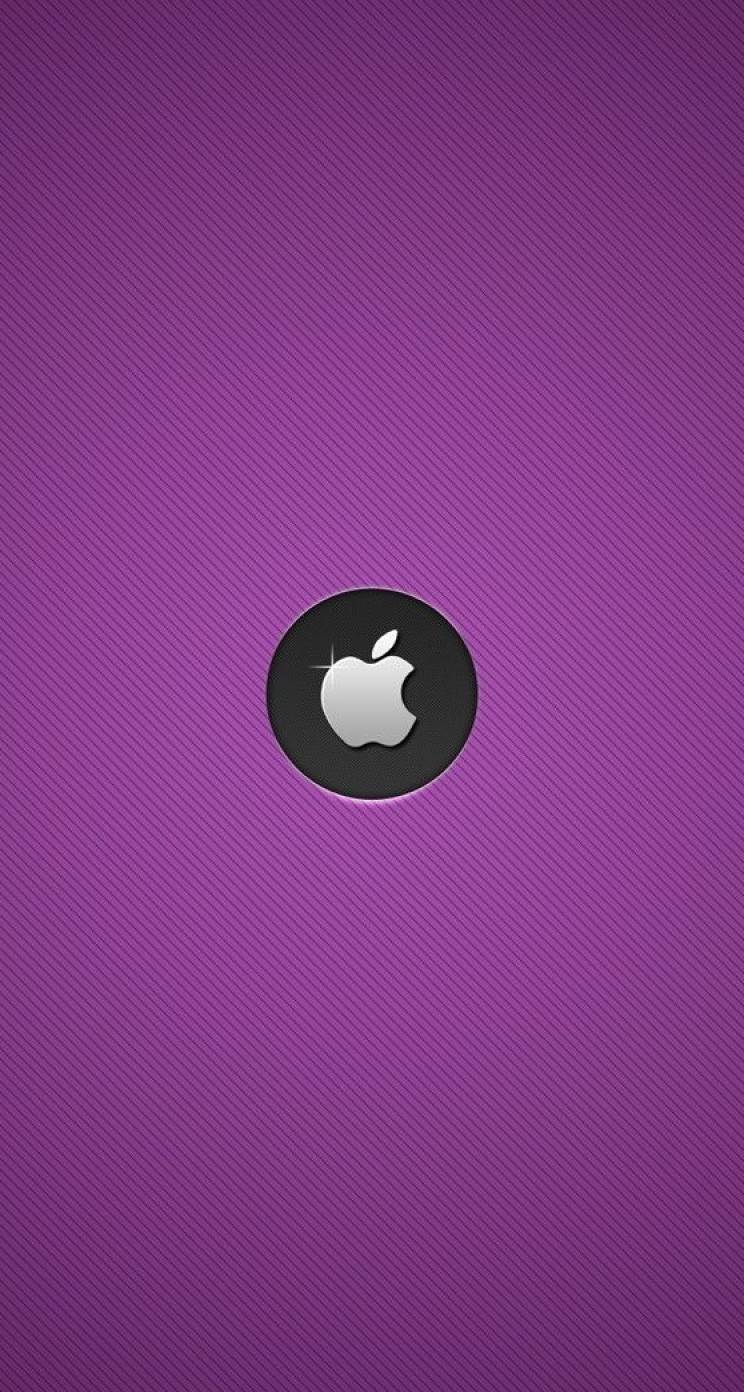 シンプルで綺麗な紫のiphone5 スマホ用壁紙 Wallpaperbox Iphone5s壁紙 待受画像ギャラリー