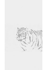 茂みに潜む虎 動物のiphone壁紙 Iphone5s壁紙 待受画像ギャラリー