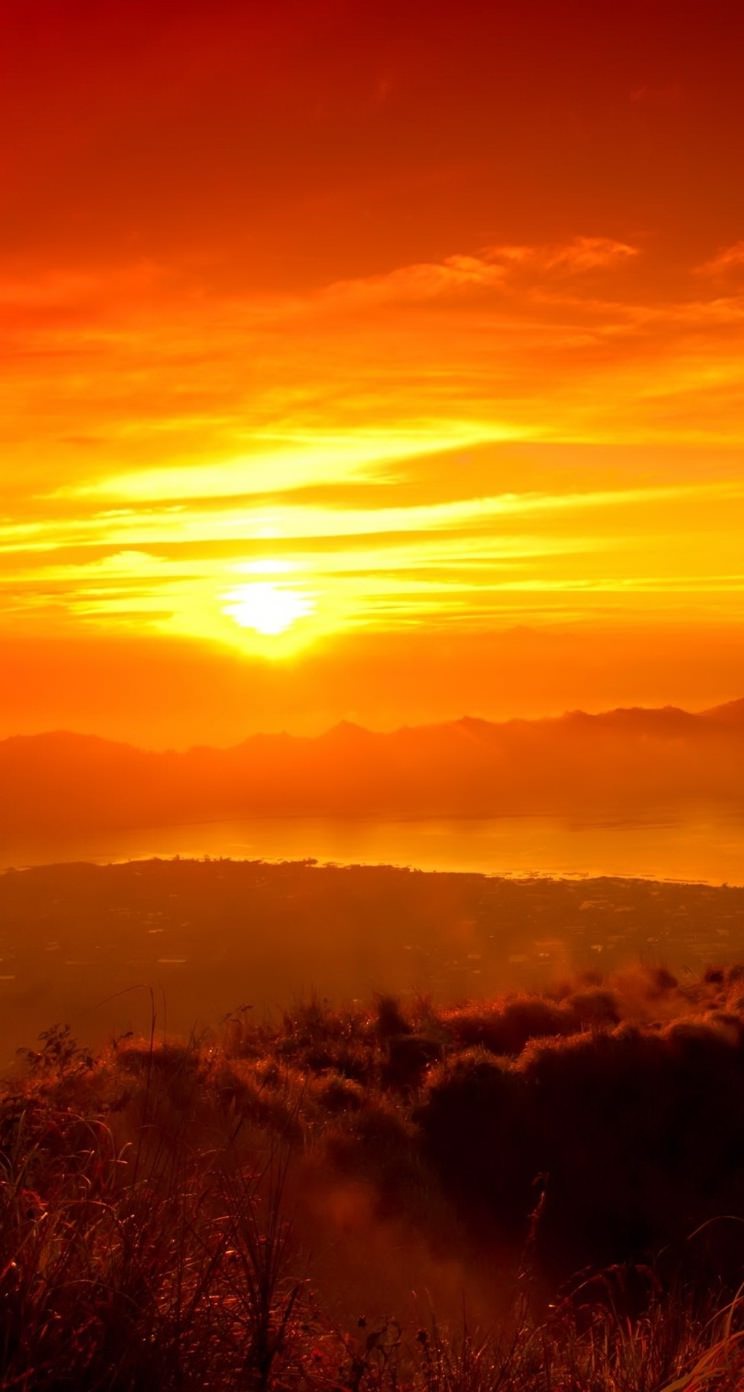 最新壁紙 夕焼け 最高の花の画像