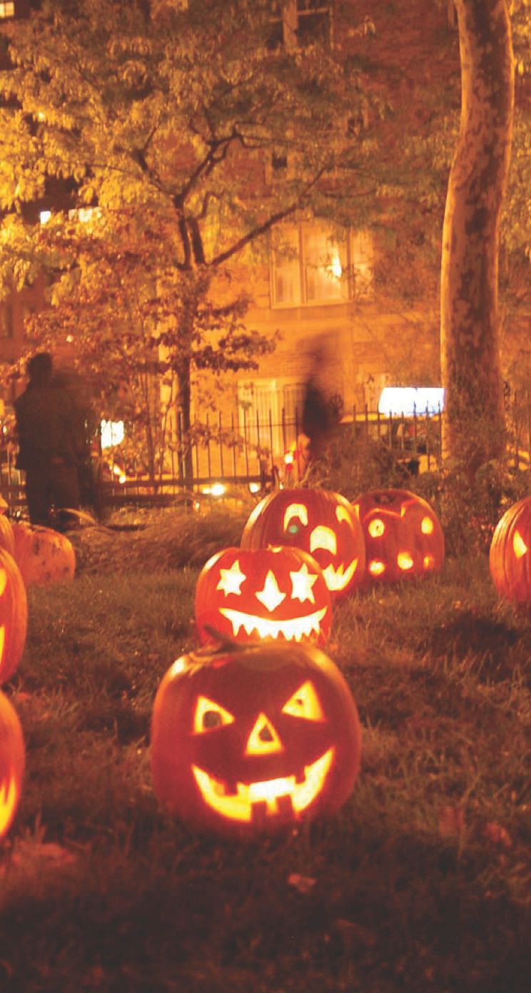 すべての花の画像 トップ100 おしゃれ Halloween 壁紙