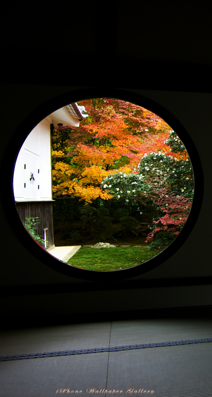 秋の京都 Iphone5s壁紙 待受画像ギャラリー