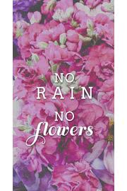 NO RAIN