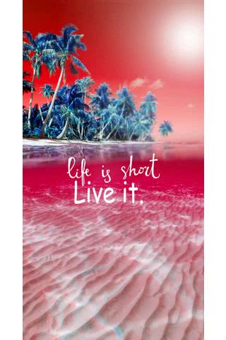 人生は短い。楽しまなくちゃ - life is short live it