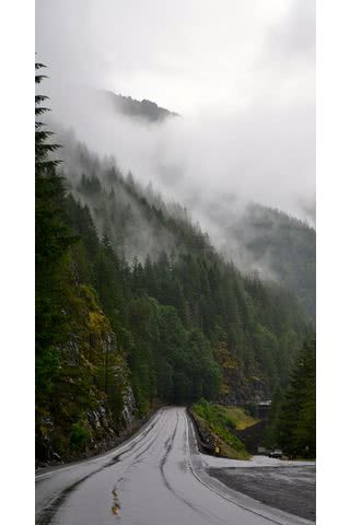 山の道路