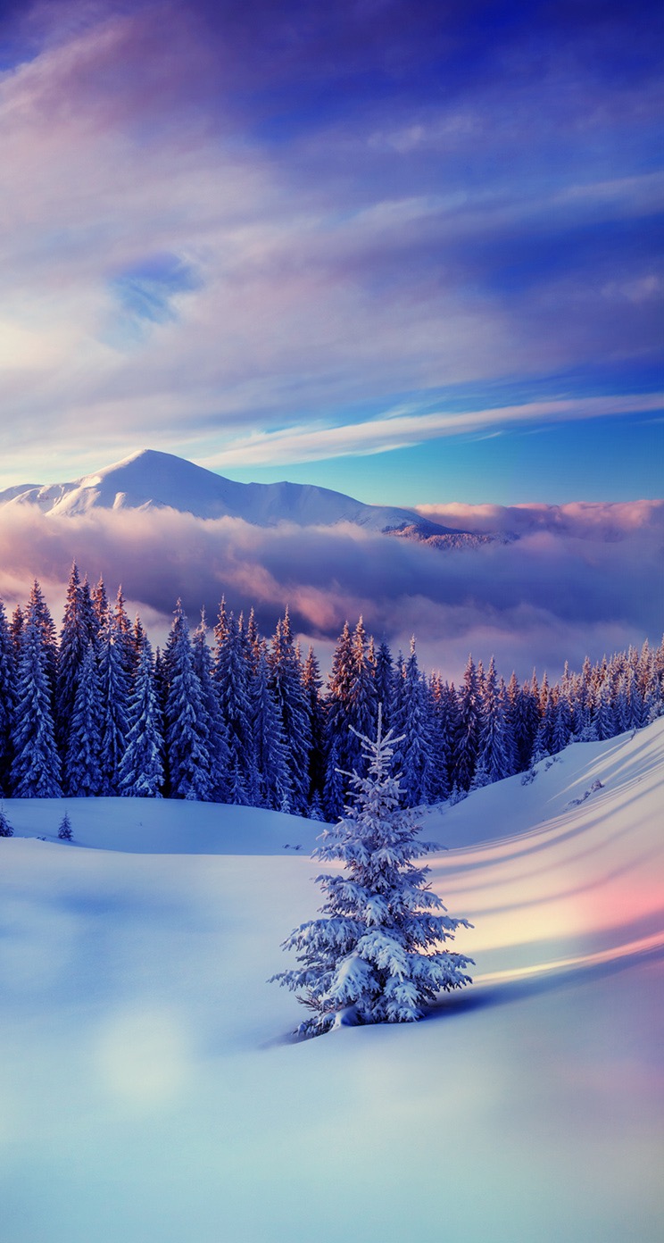 人気219位 幻想的な雪景色 Iphone5s壁紙 待受画像ギャラリー