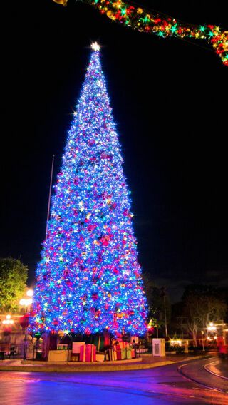 青く輝くクリスマスツリー