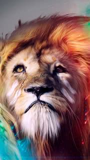 凛々しいライオン - iPhone壁紙