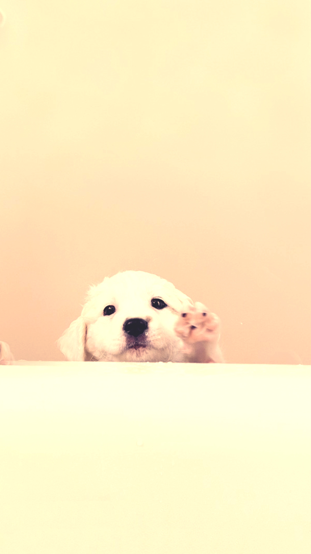 画像 可愛い犬ワンちゃんのイラスト スマホ Iphone壁紙 画像 待ち受け画面 Naver まとめ