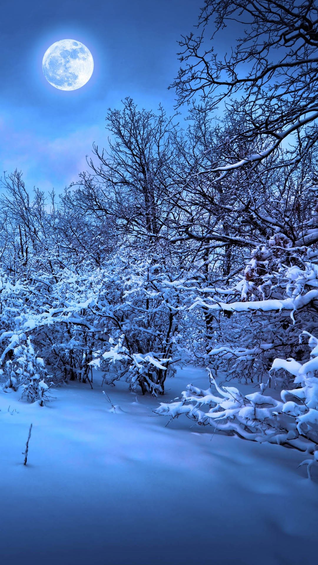 雪に包まれた月夜の森 | iPhone7, スマホ壁紙/待受画像ギャラリー