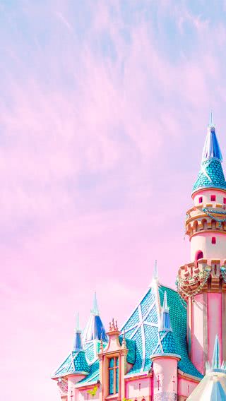 【234位】Disney Castle